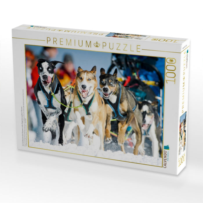 Ein Schlittenhunde-Gespann voller Begeisterung beim Rennen - CALVENDO Foto-Puzzle'