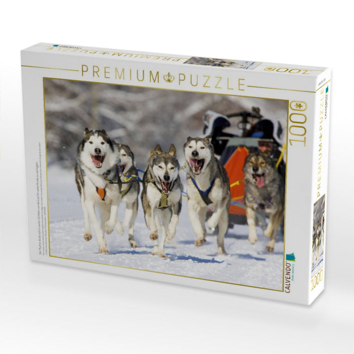 Der Musher duckt sich in seinen Schlitten um die Last für seine Hunde zu verringern - CALVENDO Foto-Puzzle'