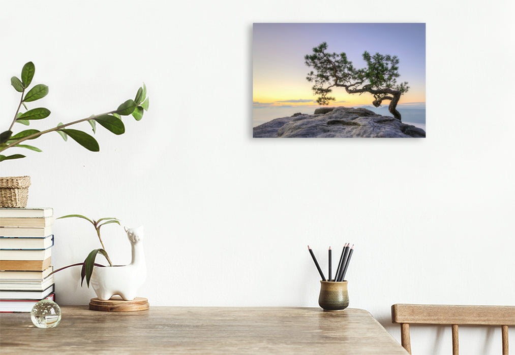 Premium textile canvas Premium textile canvas 120 cm x 80 cm landscape Pine on the Lilienstein 