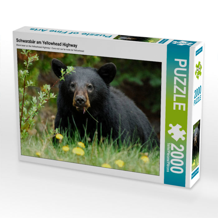 Black Bear on the Yellowhead Highway - CALVENDO Photo Puzzle 