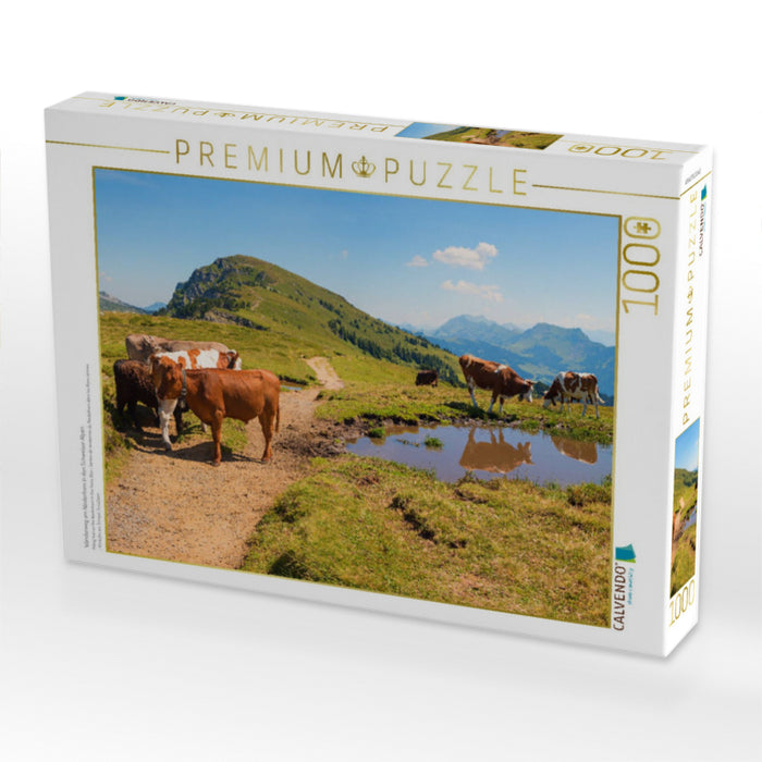 Wanderweg am Niederhorn in den Schweizer Alpen - CALVENDO Foto-Puzzle'