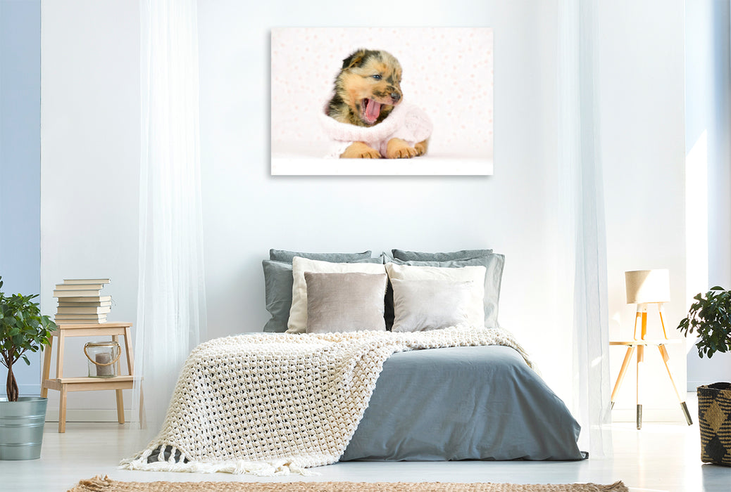Premium textile canvas Premium textile canvas 120 cm x 80 cm landscape Sweet dog girl 