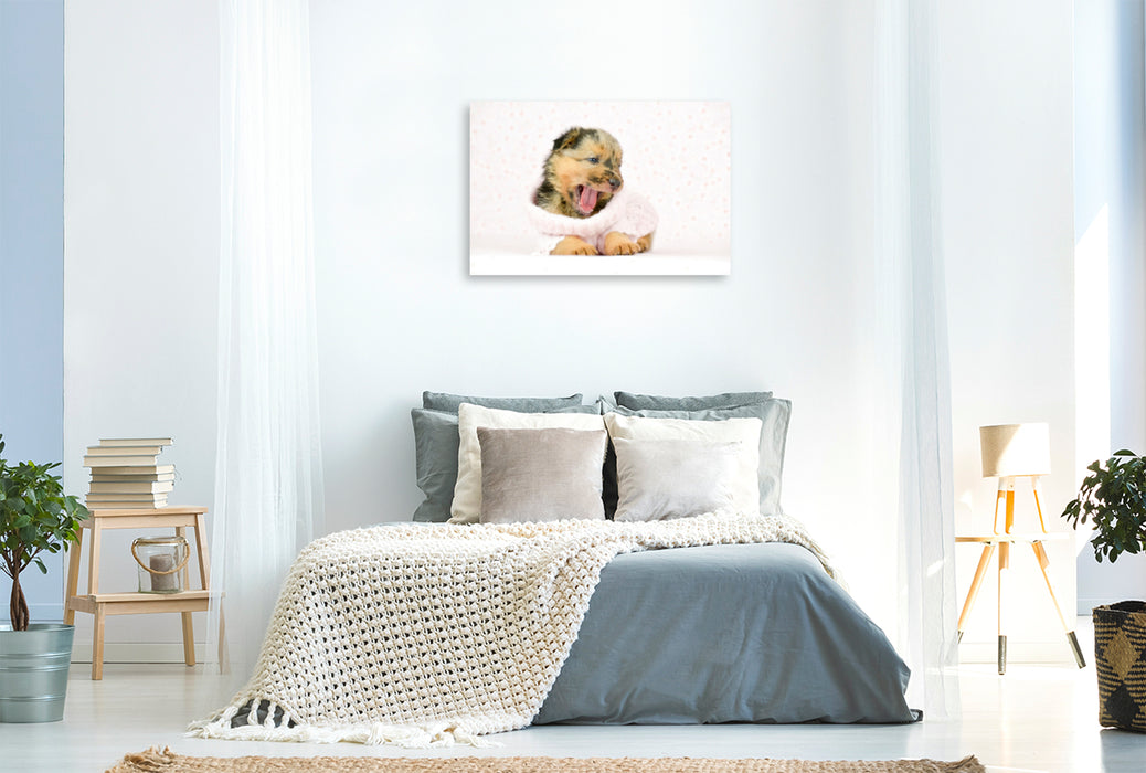 Premium textile canvas Premium textile canvas 120 cm x 80 cm landscape Sweet dog girl 