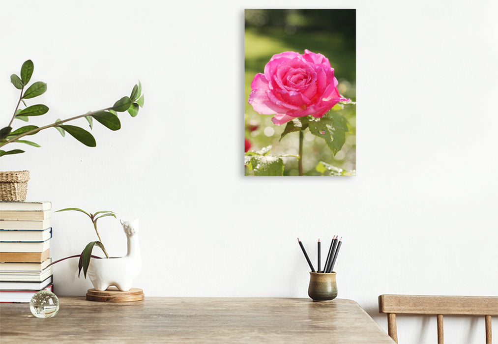 Premium textile canvas Premium textile canvas 80 cm x 120 cm high Rose 'Scent Rush' after the rain 