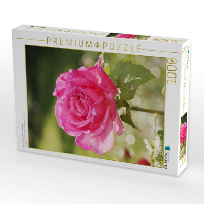 Rose 'Duftrausch' nach dem Regen - CALVENDO Foto-Puzzle'