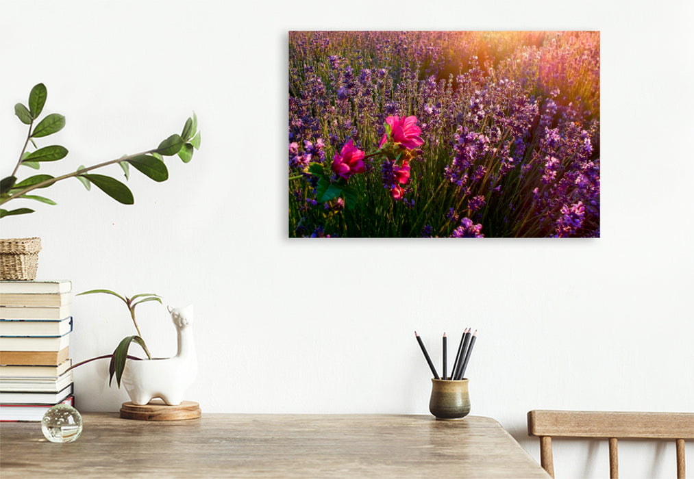 Premium textile canvas Premium textile canvas 90 cm x 60 cm across A motif from the calendar Dream Destinations - Lavender of Provence, France 