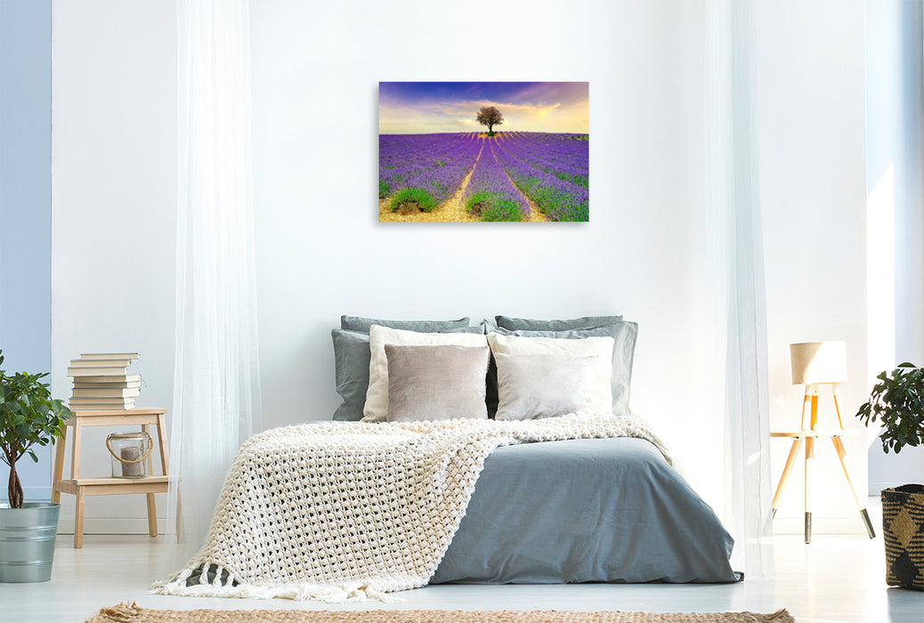 Premium textile canvas Premium textile canvas 90 cm x 60 cm across A motif from the calendar Dream Destinations - Lavender of Provence, France 