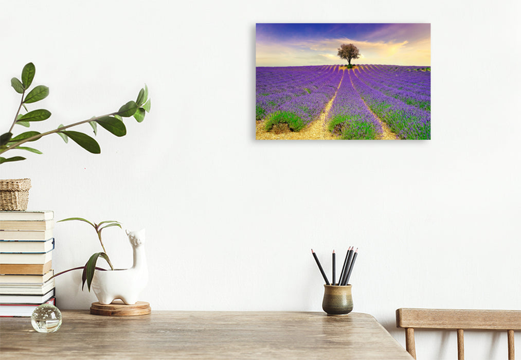 Premium textile canvas Premium textile canvas 90 cm x 60 cm across A motif from the calendar Dream Destinations - Lavender of Provence, France 