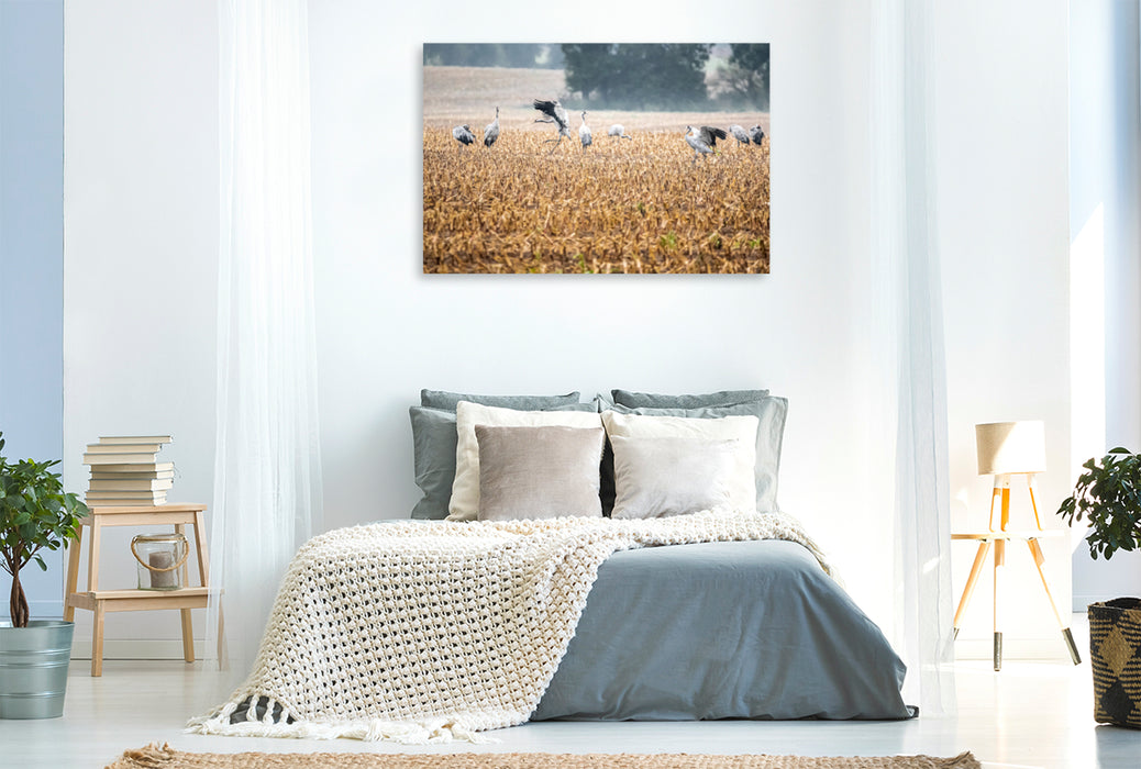 Premium textile canvas Premium textile canvas 120 cm x 80 cm landscape cranes at Batevitz 