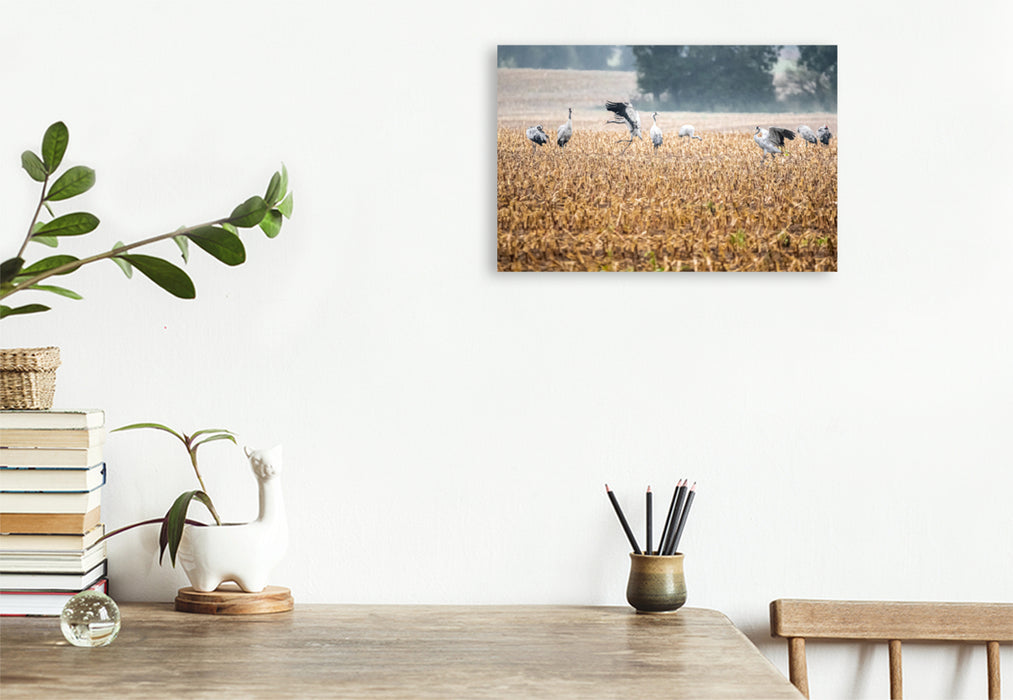 Premium textile canvas Premium textile canvas 120 cm x 80 cm landscape cranes at Batevitz 