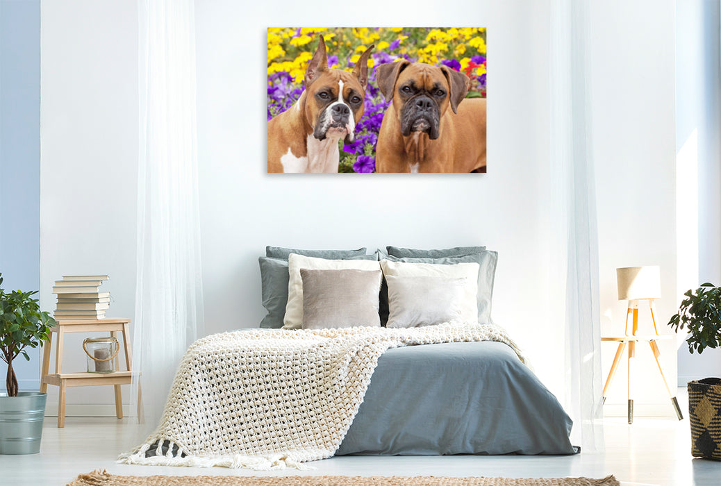 Toile textile haut de gamme Toile textile haut de gamme 120 cm x 80 cm paysage Deux chiens de la race Boxer regardent attentivement. 