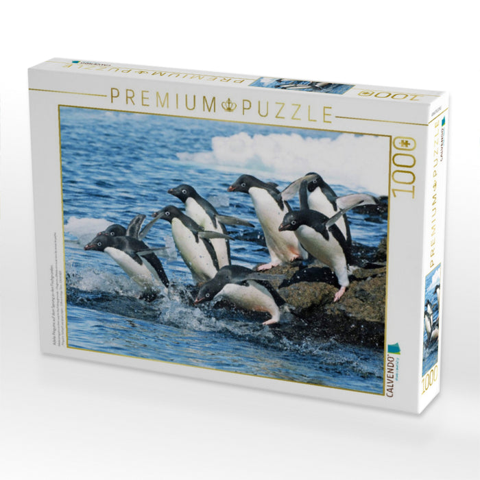 Adelie Pinguine auf dem Sprung zu den Fischgründen. - CALVENDO Foto-Puzzle'