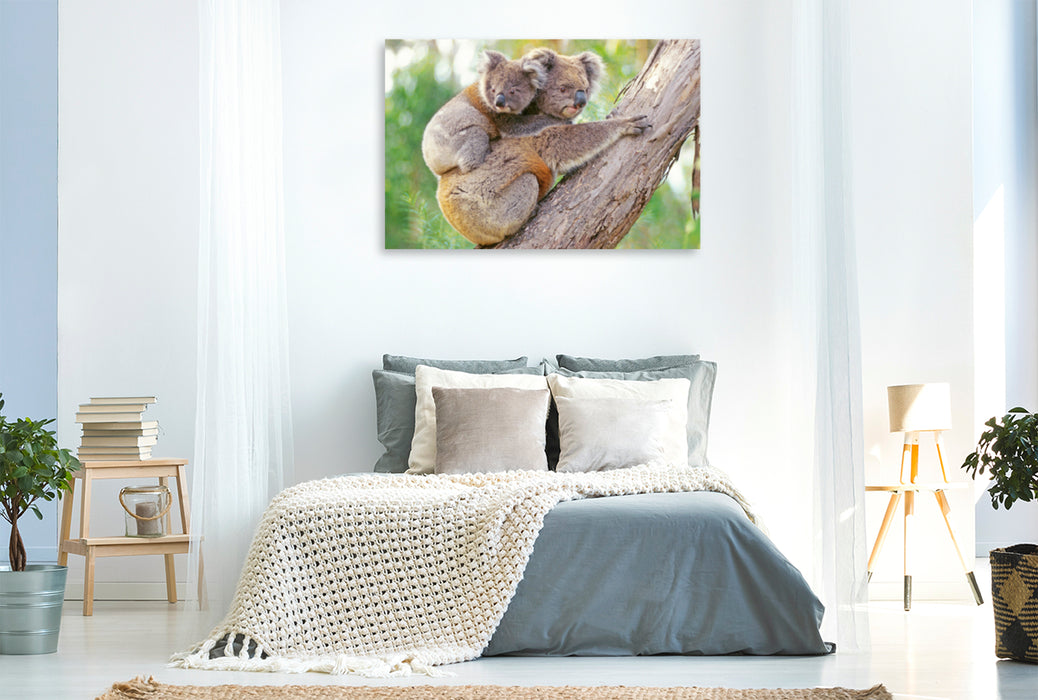 Premium textile canvas Premium textile canvas 120 cm x 80 cm landscape Koala mother climbs with young animal on her back 