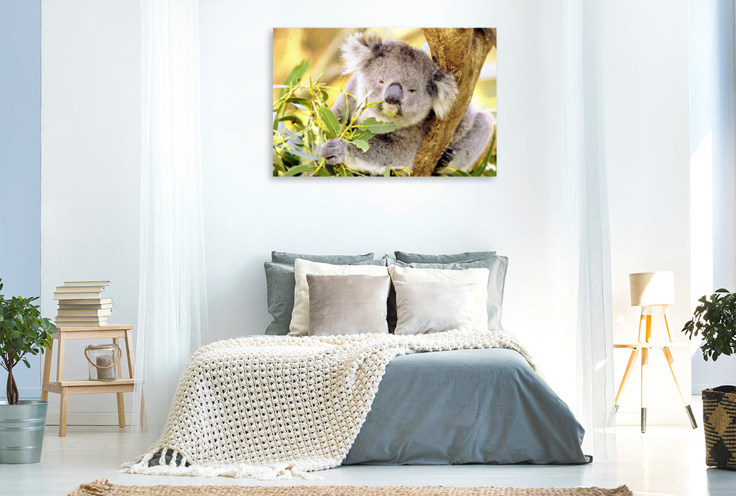 Toile textile premium Toile textile premium 120 cm x 80 cm paysage Koala mâche joyeusement une feuille 