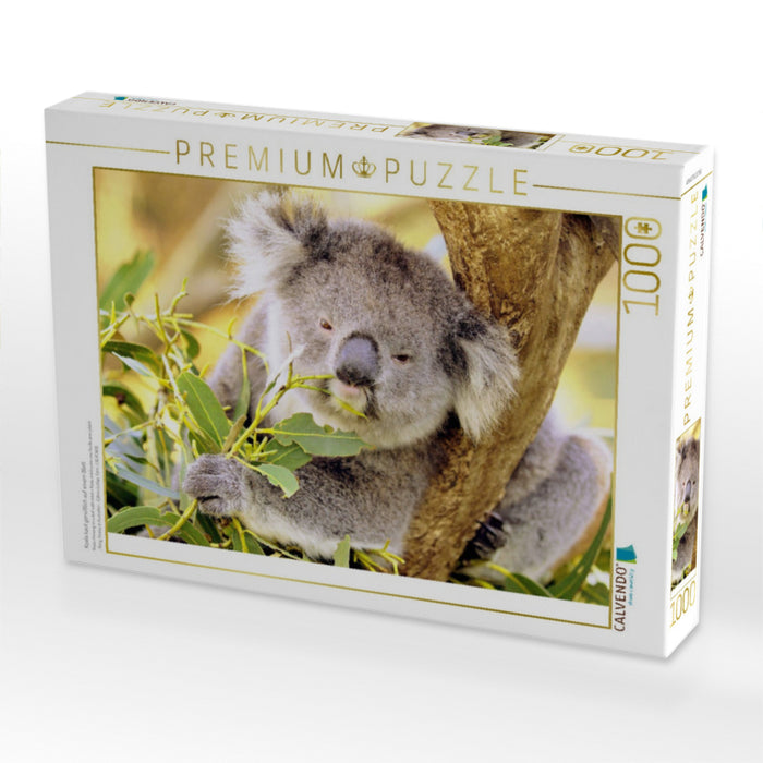 Koala kaut genüßlich auf einem Blatt - CALVENDO Foto-Puzzle'