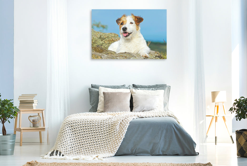 Premium Textil-Leinwand Premium Textil-Leinwand 120 cm x 80 cm quer Jack Russell Terrier verschnauft auf einem Felsen.