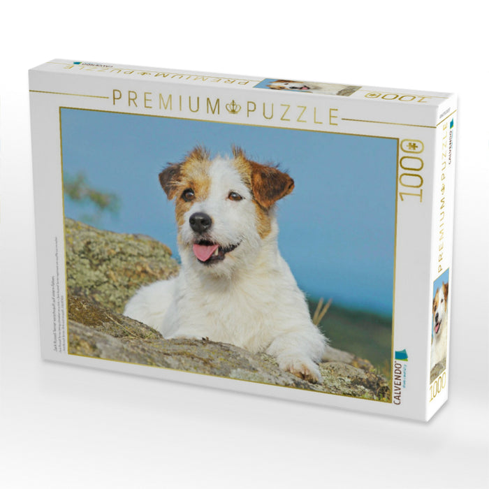 Jack Russell Terrier verschnauft auf einem Felsen. - CALVENDO Foto-Puzzle'