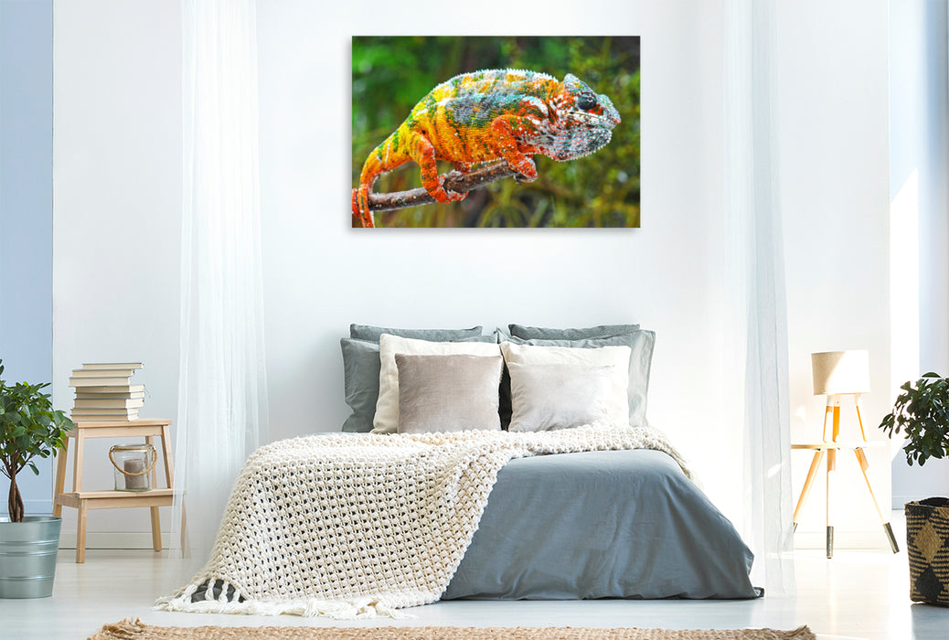 Premium textile canvas Premium textile canvas 120 cm x 80 cm landscape panther chameleon in all the bright colors of the rainbow. 