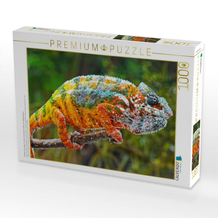 Panther-Chamäleon in allen leuchtenden Farben des Regenbogens. - CALVENDO Foto-Puzzle'