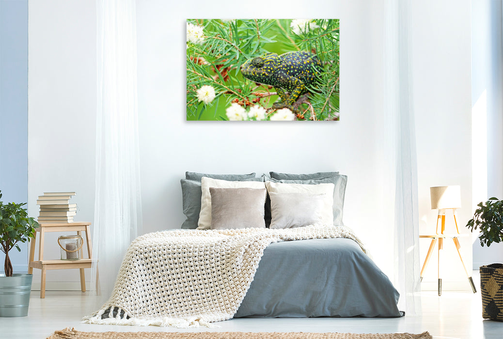 Toile textile haut de gamme Toile textile haut de gamme 120 cm x 80 cm paysage Un caméléon européen est camouflé dans un buisson. 