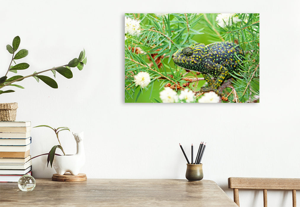 Premium textile canvas Premium textile canvas 120 cm x 80 cm landscape European chameleon sits camouflaged in a bush. 