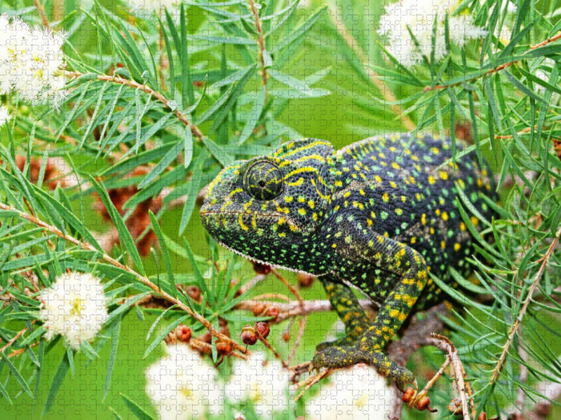 Europäisches Chamäleon sitzt getarnt in einem Busch. - CALVENDO Foto-Puzzle'