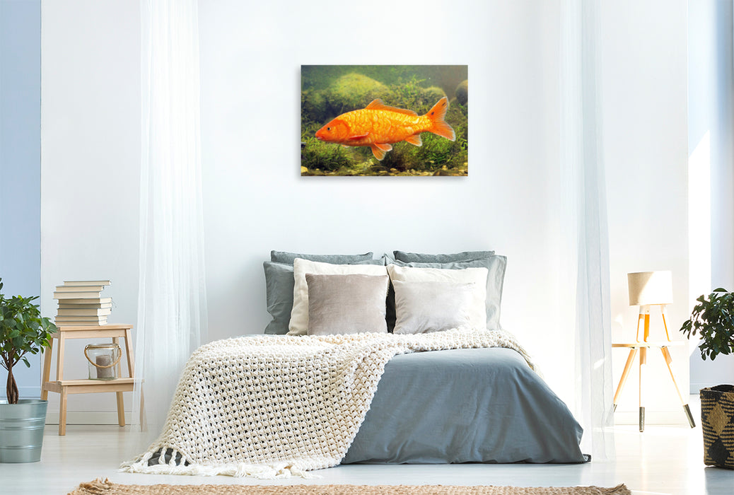 Premium textile canvas Premium textile canvas 120 cm x 80 cm landscape Koi brocade carp with reflective scales. 