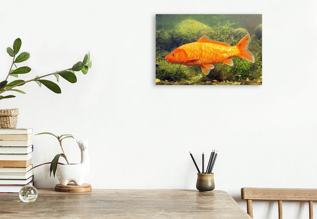 Premium textile canvas Premium textile canvas 120 cm x 80 cm landscape Koi brocade carp with reflective scales. 