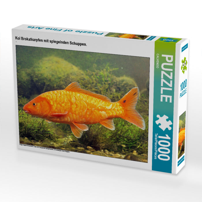 Koi Brokatkarpfen mit spiegelnden Schuppen. 1000 Teile Puzzle quer - CALVENDO Foto-Puzzle'