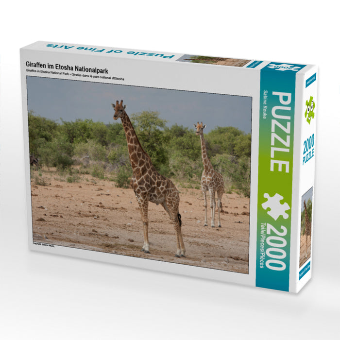 Giraffen im Etosha Nationalpark 2000 Teile Puzzle quer - CALVENDO Foto-Puzzle'