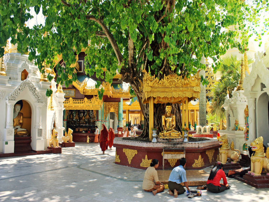 Morgengebet bei der Shwedagon-Pagode in Yangon - CALVENDO Foto-Puzzle'