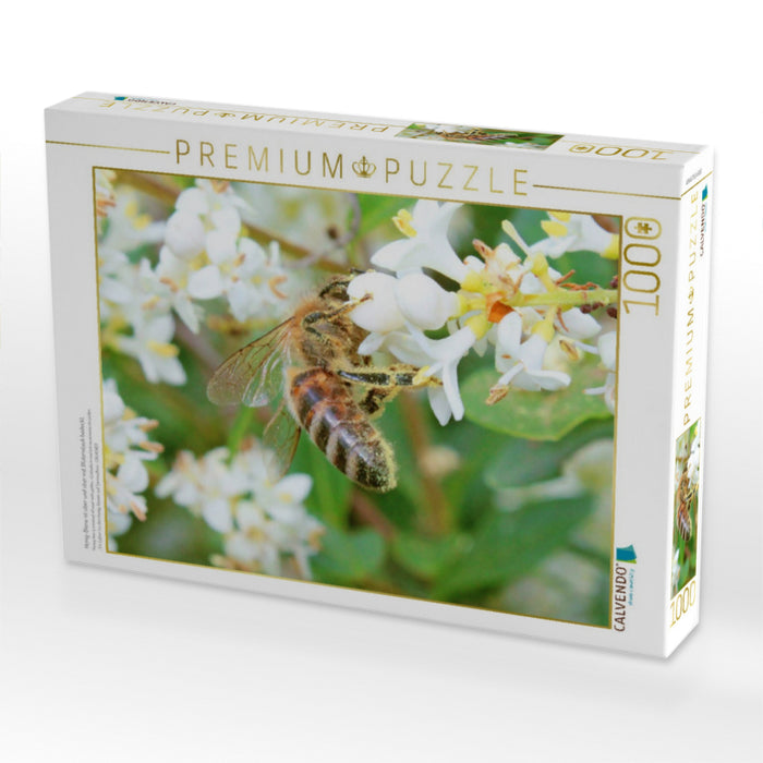 Honig-Biene ist über und über mit Blütenstaub bedeckt. - CALVENDO Foto-Puzzle'