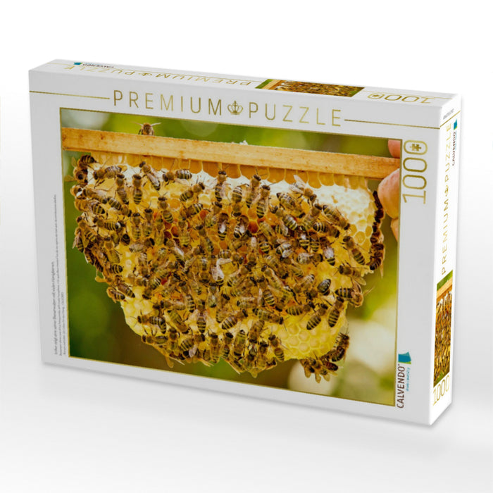 Imker zeigt eine seiner Bienenwaben mit vielen Honigbienen. - CALVENDO Foto-Puzzle'
