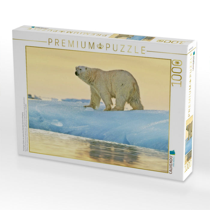 Prächtiger Eisbär vor einem leuchtenden Sonnenuntergang. - CALVENDO Foto-Puzzle'
