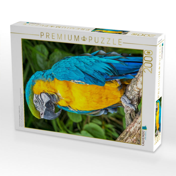 Farbenfrohe Papageien: Gelbbrust-Ara. - CALVENDO Foto-Puzzle'