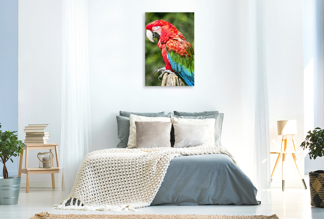 Premium Textil-Leinwand Premium Textil-Leinwand 80 cm x 120 cm  hoch Farbenfrohe Papageien: Grünflügel-Ara.