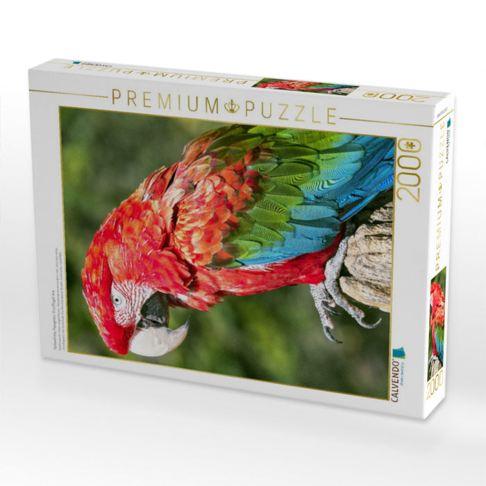 Farbenfrohe Papageien: Grünflügel-Ara. - CALVENDO Foto-Puzzle'