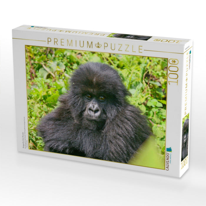 Berggorilla-Kind, Ruanda - CALVENDO Foto-Puzzle'