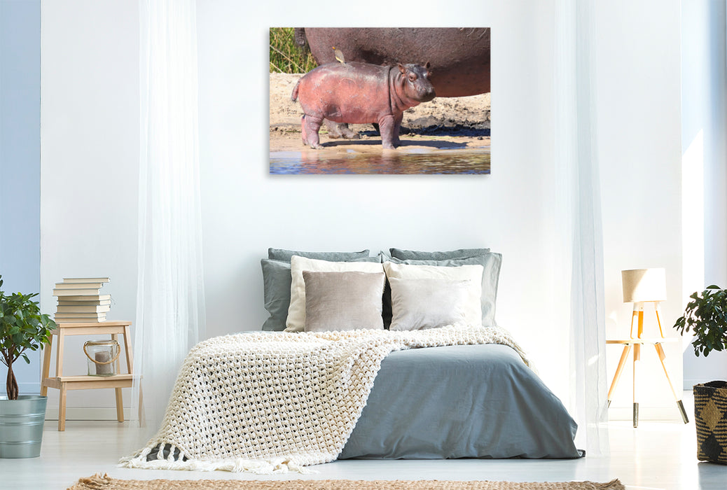 Premium textile canvas Premium textile canvas 120 cm x 80 cm landscape Buffalo Core Area, Caprivi, Namibia 