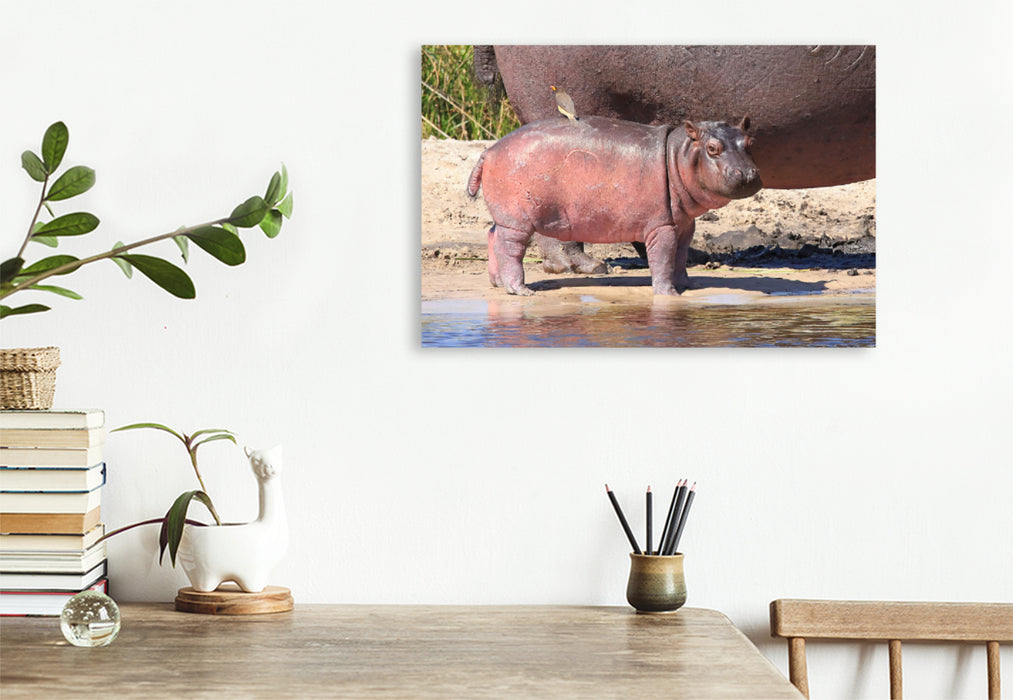 Premium textile canvas Premium textile canvas 120 cm x 80 cm landscape Buffalo Core Area, Caprivi, Namibia 