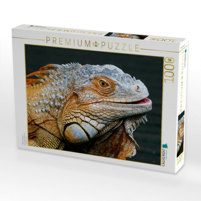 Grüner Leguan - CALVENDO Foto-Puzzle'