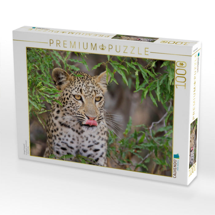 Junger Leopard - CALVENDO Foto-Puzzle'