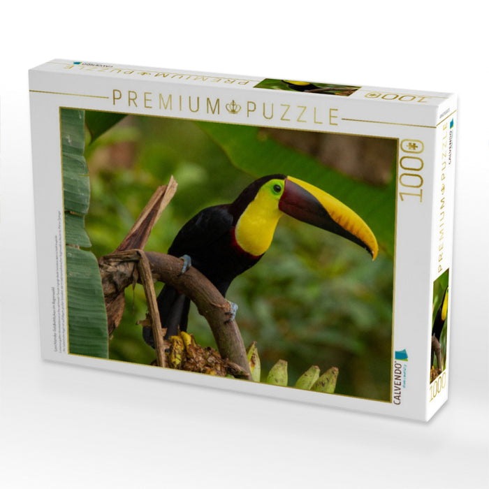 Leuchtender Goldkehltukan im Regenwald - CALVENDO Foto-Puzzle'