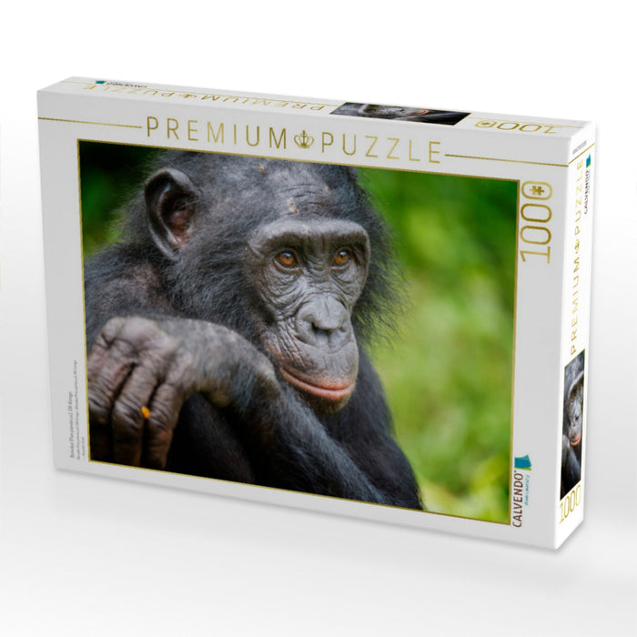 Bonobo (Pan paniscus), DR Kongo - CALVENDO Foto-Puzzle'
