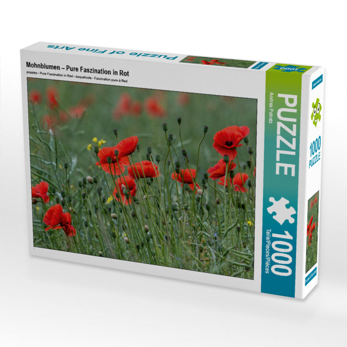 Mohnblumen – Pure Faszination in Rot 1000 Teile Puzzle quer - CALVENDO Foto-Puzzle'