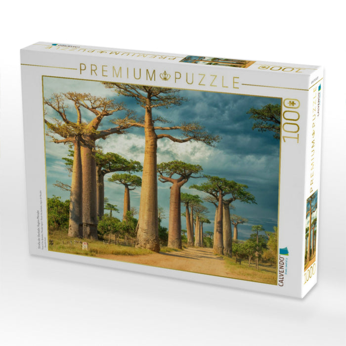 Straße der Baobabs, Region Menabe - CALVENDO Foto-Puzzle'