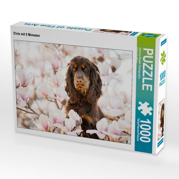Elvis mit 9 Monaten 1000 Teile Puzzle quer - CALVENDO Foto-Puzzle'
