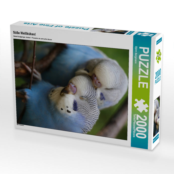 Süße Welliküken! 2000 Teile Puzzle hoch - CALVENDO Foto-Puzzle'