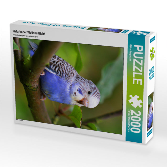 perruche violette ! - Casse-tête photo CALVENDO 