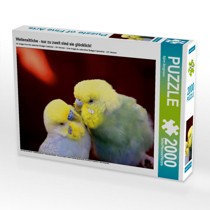 Wellensittiche - nur zu zweit sind sie glücklich! 2000 Teile Puzzle quer - CALVENDO Foto-Puzzle'